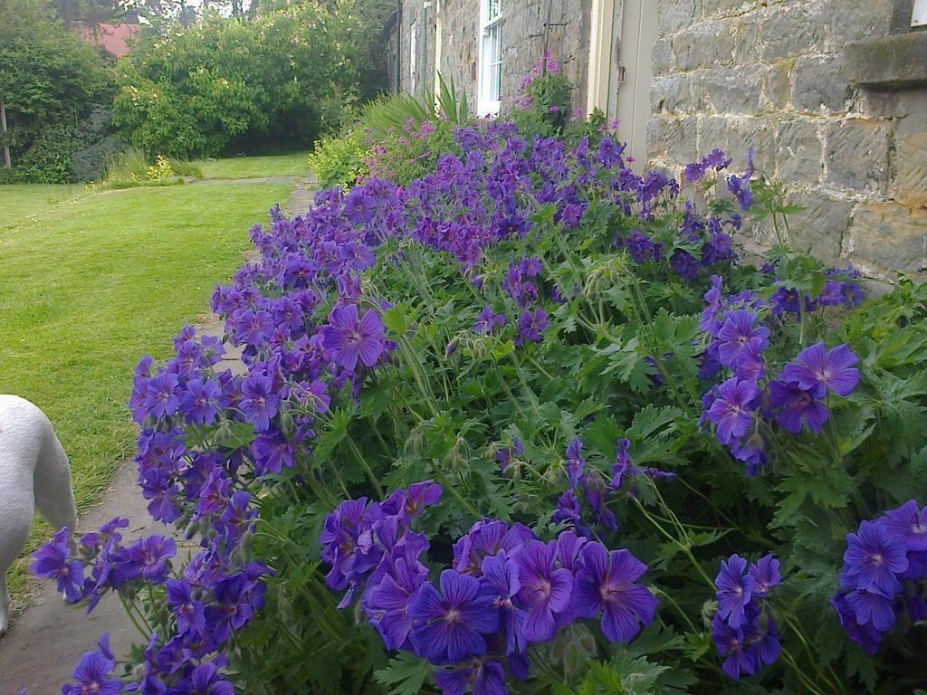 Barmoors Bed and Breakfast Lastingham Exterior foto